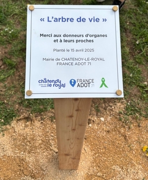 Arbre de vie